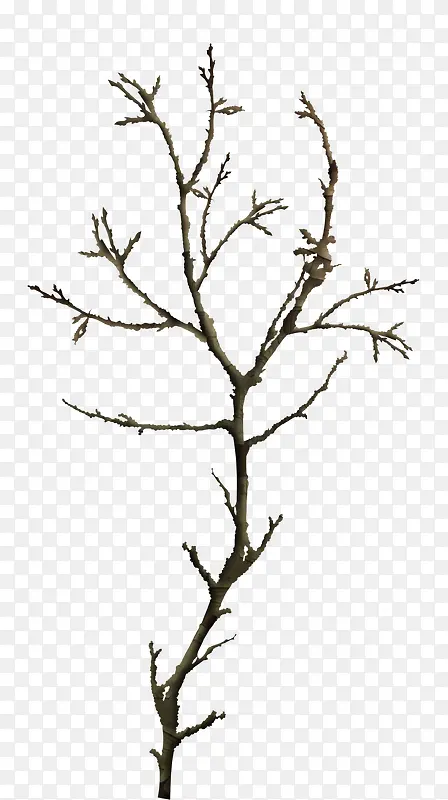 ��֦-������