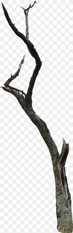 �����ز�-������