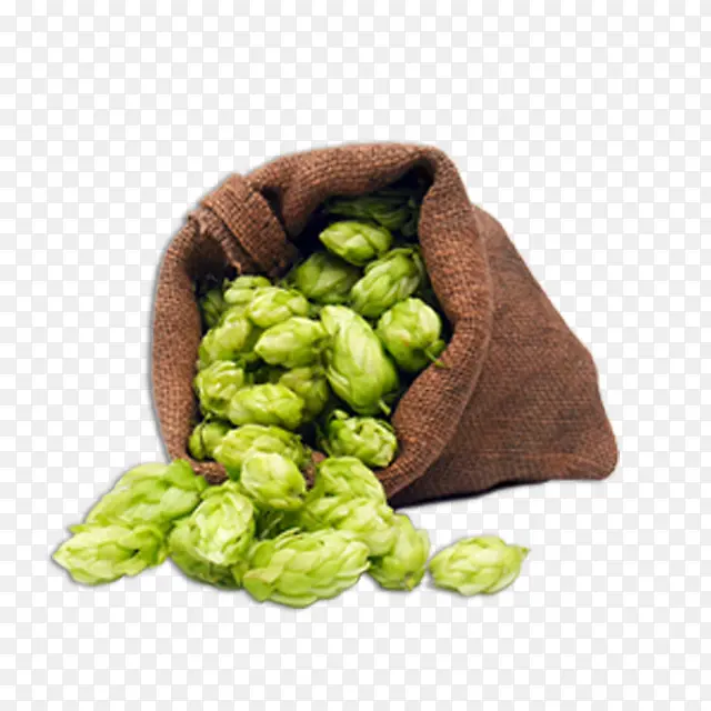 ʵ���ʵ-������