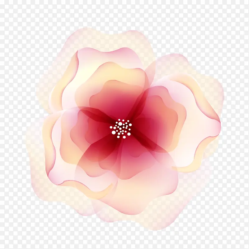 ��ͨѤ������-������