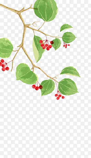 ������֦-������