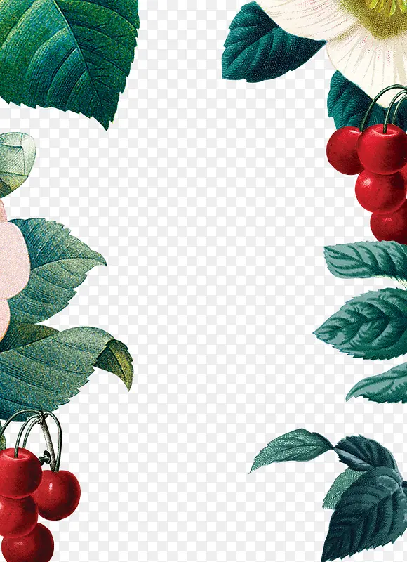 �ֻ���Ҷ�뻨���ʵ�߿�-������