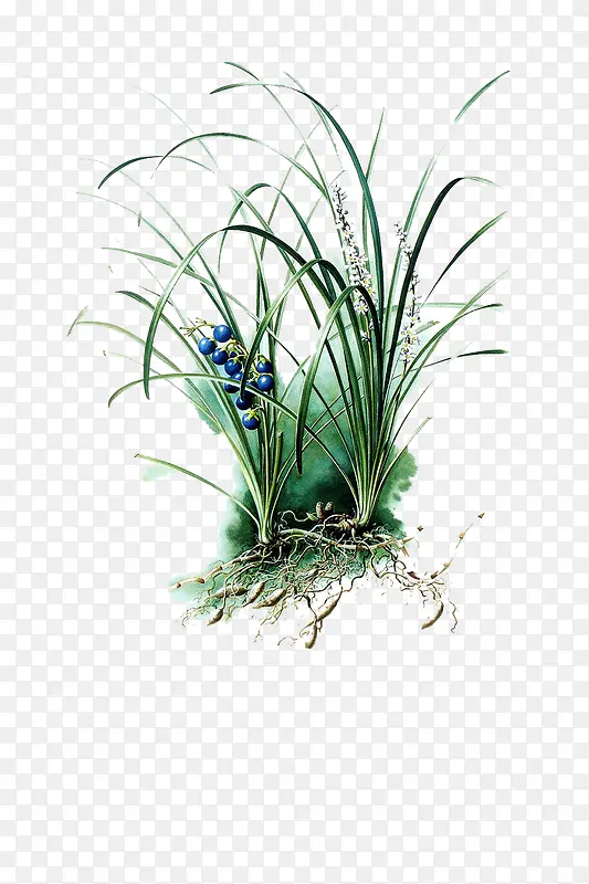 �ֻ�С��-������