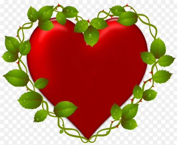 ������Ϧ�ڰ��ķ�ʽ�̲ݻ�������-������