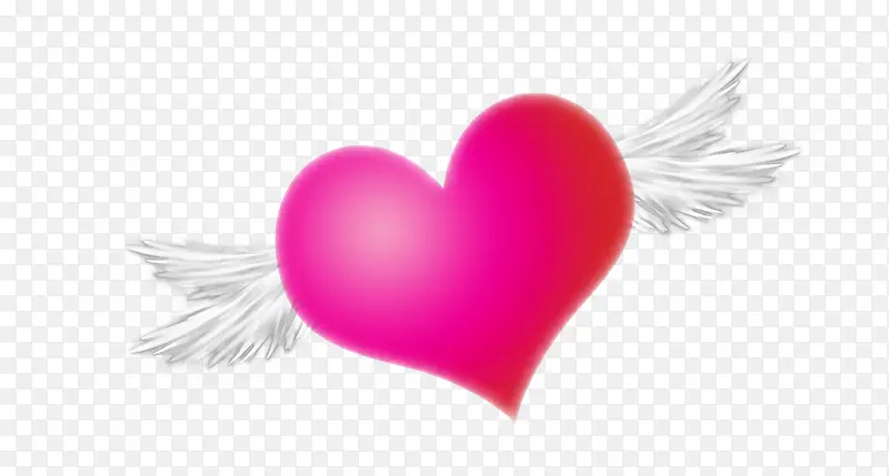 ����Ư��Ԫ��-������