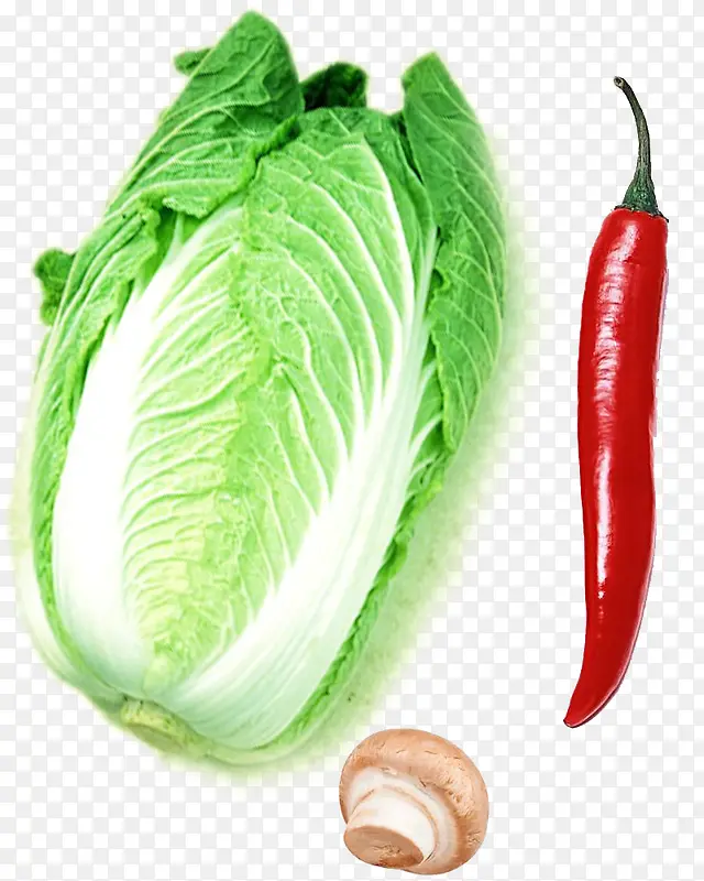 ��ײ�С�콷-������