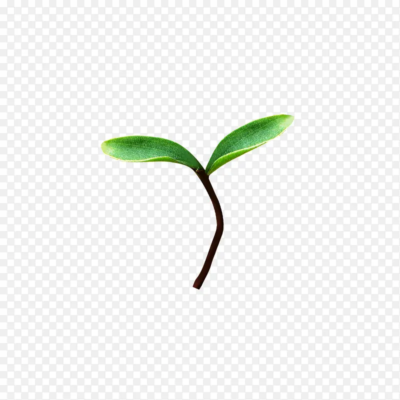 ������С��-������