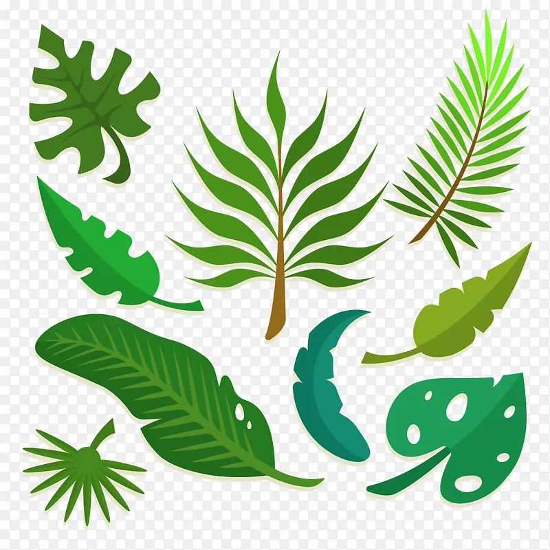 ��ɫֲ����ٴ�ͼ����-������