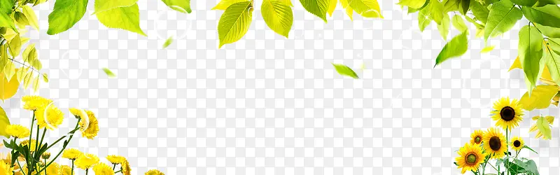 ��ɫ��֦��Ҷ����߿�����-������