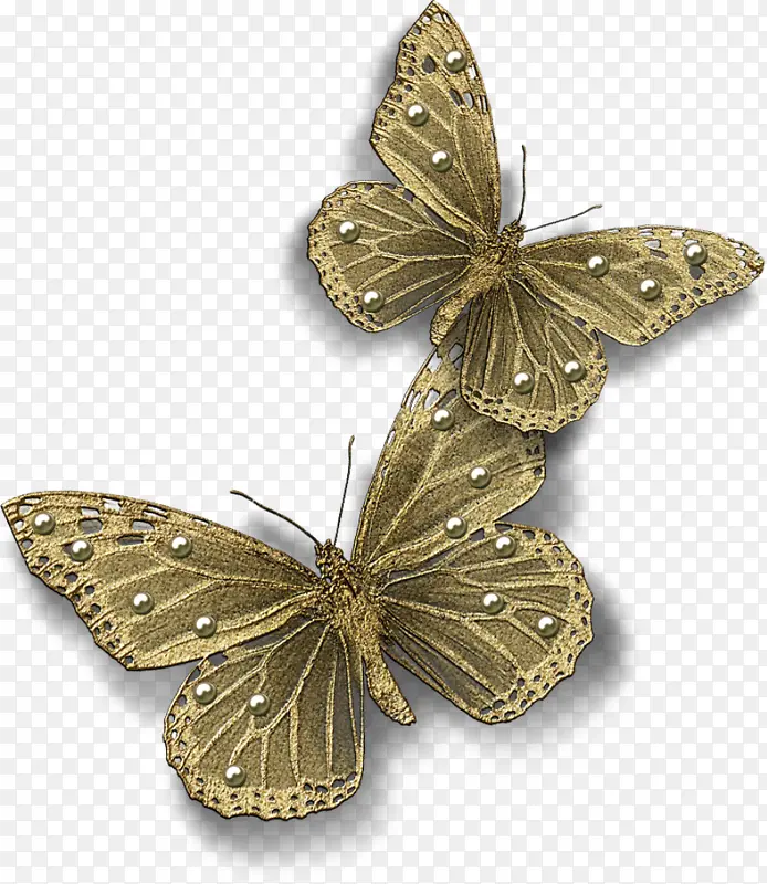 ���Ż�ɫ����-������