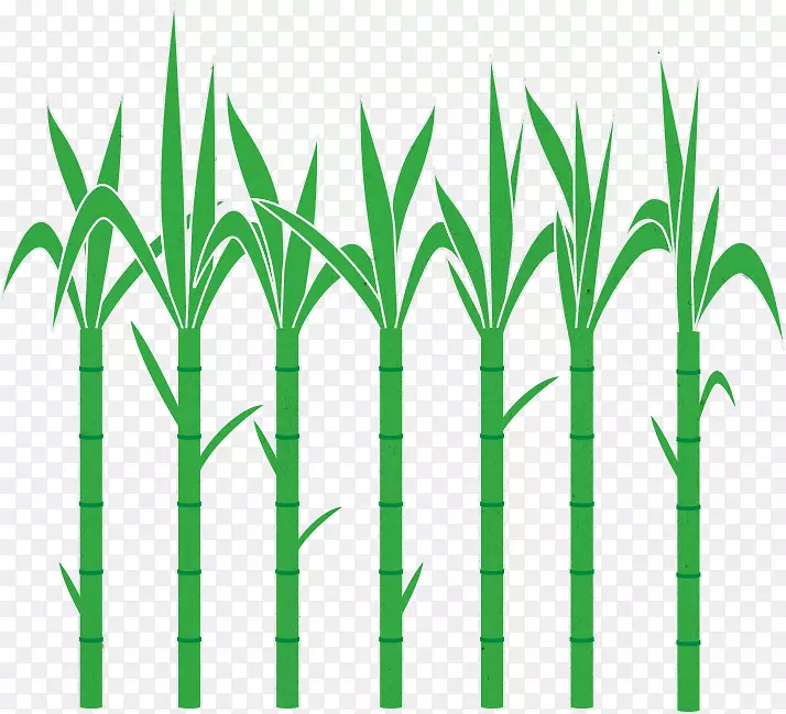 ��׿������ʼ������������-������