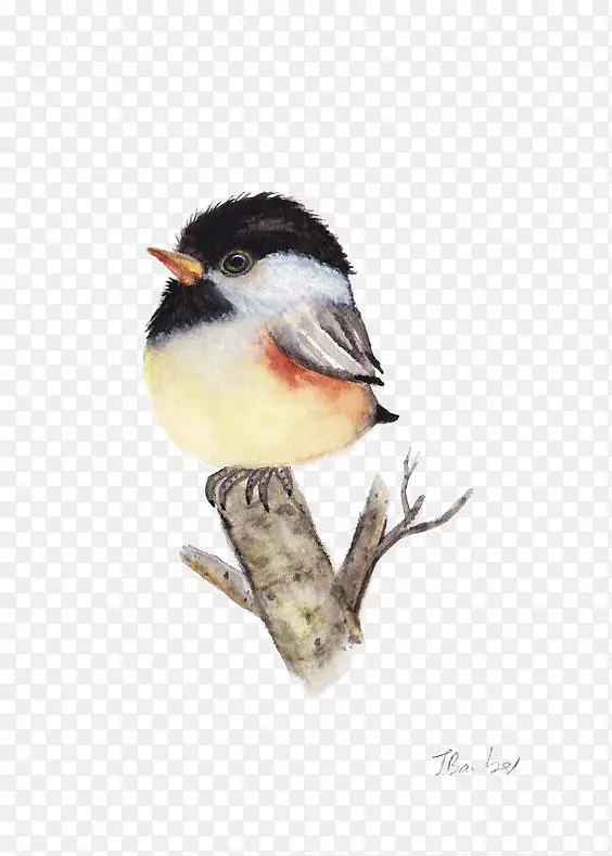 С��-������