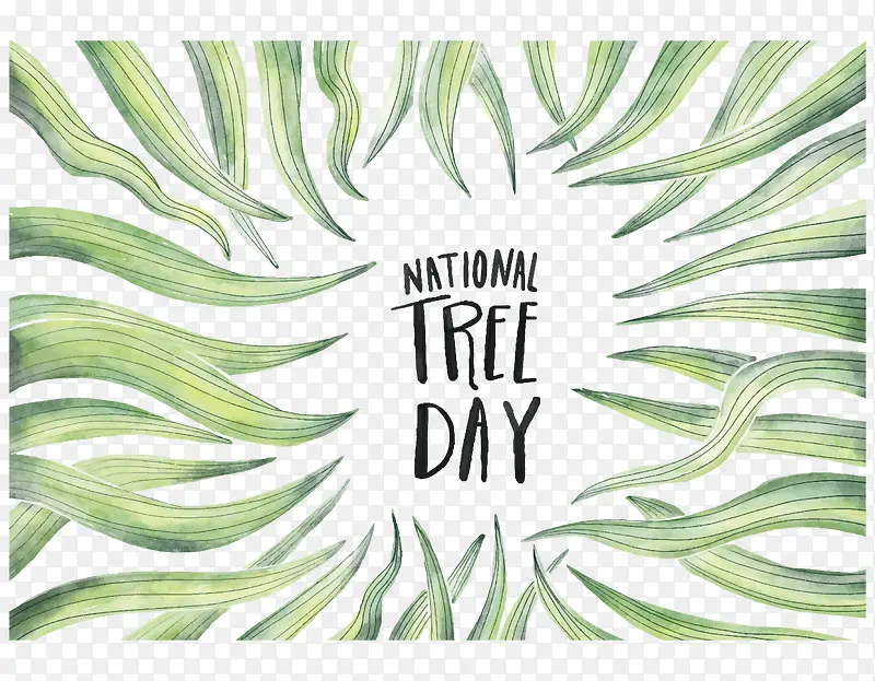 ֲ��Ҷ�ӻ�����ˮ�ʻ�-������