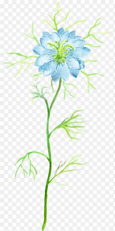 ��ɫ������ˮ��-������