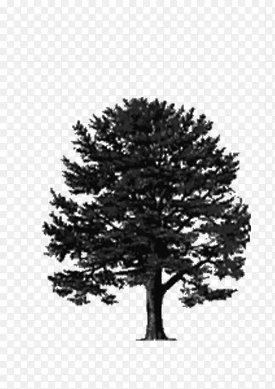 �� ���� �ڰ�-������