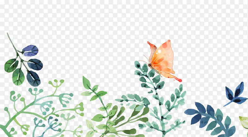 �ֻ���ľֲ��Ҷ��װ��-������