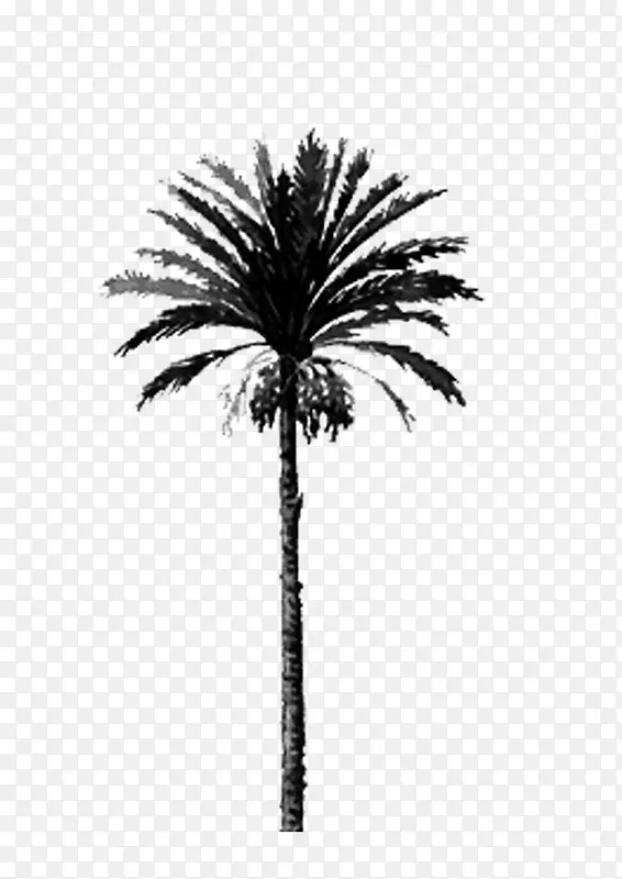 �� ���� �ڰ�-������