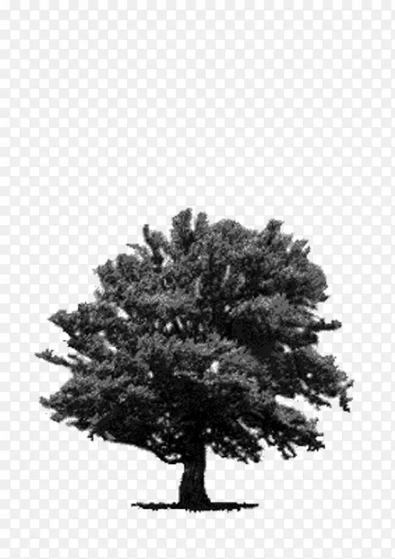 �� ���� �ڰ�-������