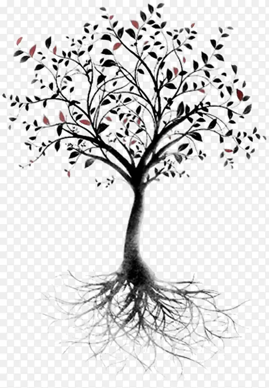 ����-������