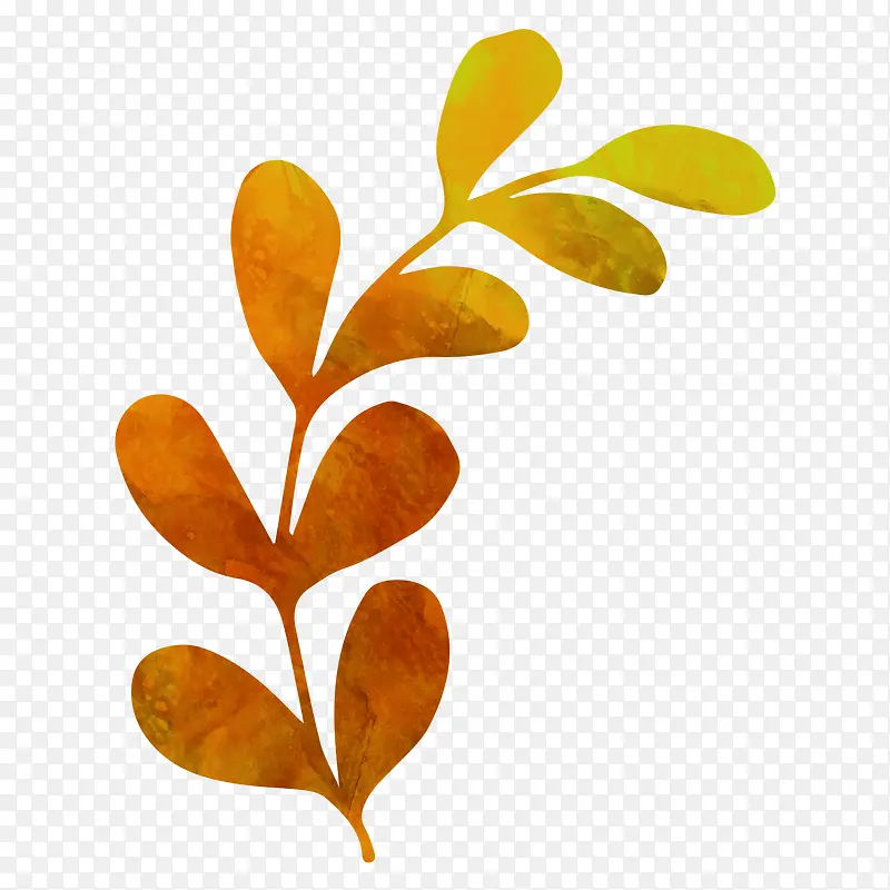 Ҷ��ˮ��ʸ��ͼ��Ԫ��-������