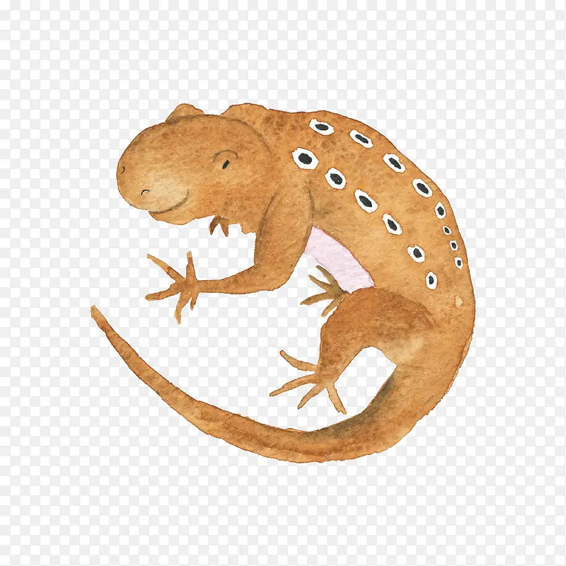 ��ͨ�ɰ�С����װ�ζ���ͷ��-������