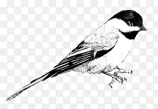 �ֻ�С��-������