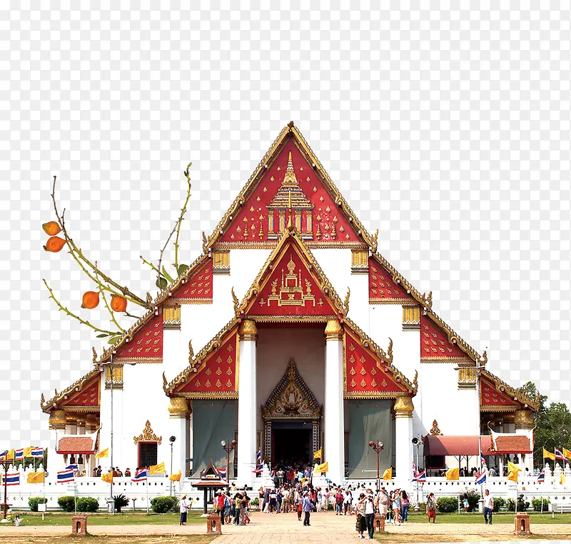 ���ŷ�޽�����֦װ��-������