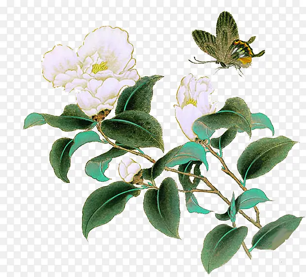 �ֻ�ɽ����-������