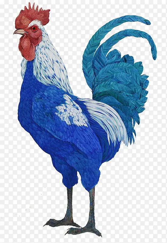 ˮ�ʴ󹫼�-������