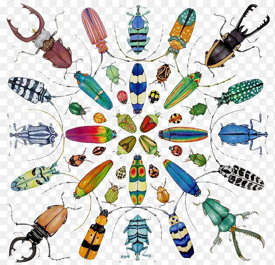 ����󼯺�-������