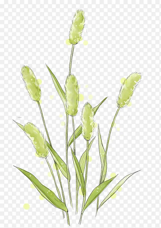 «έ�ֻ�ͼ-������