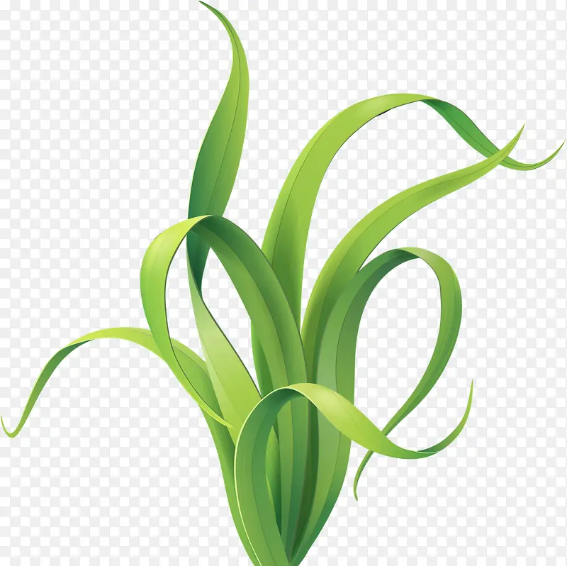 һ��«έ-������