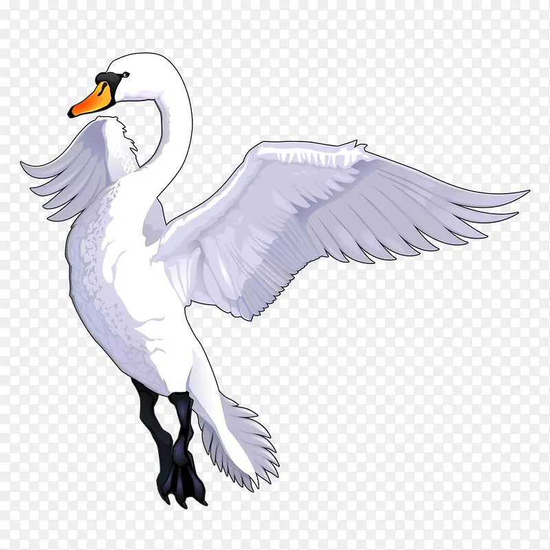 ʸ�������-������