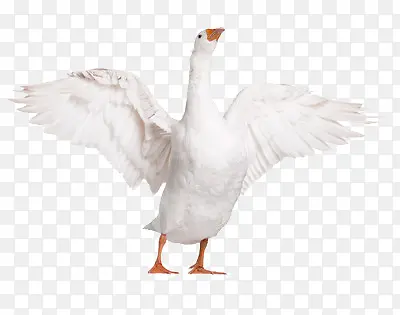 �����-������