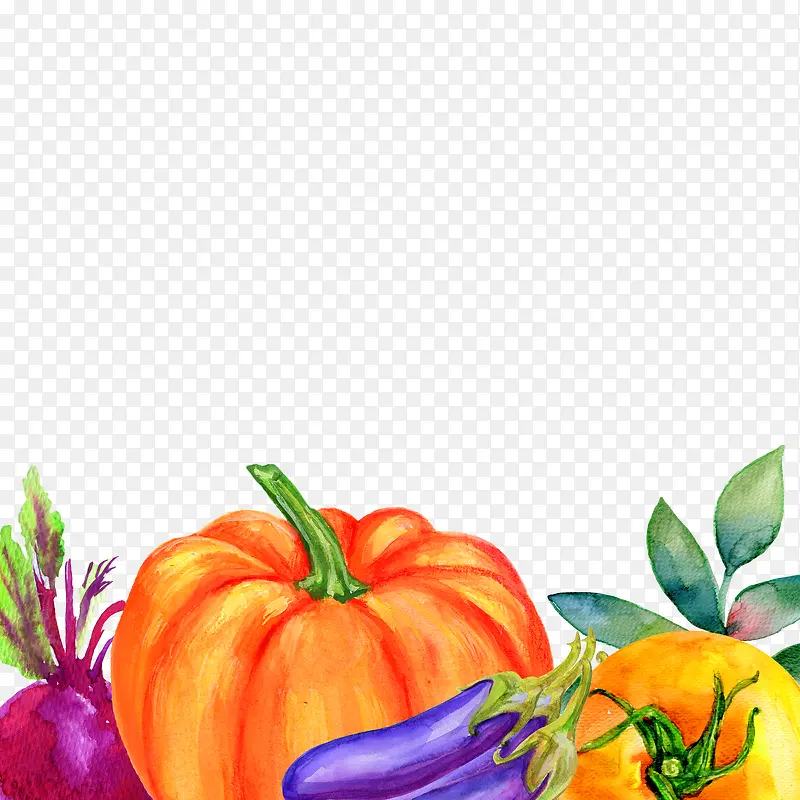 �Ϲ��������߲˼���-������