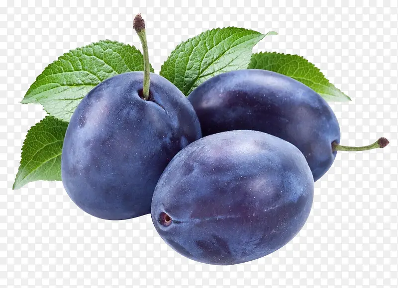 ˮ����÷ֲ����Ҷ-������