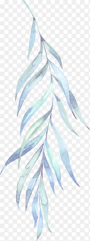 ˮ��������֦��Ҷ-������