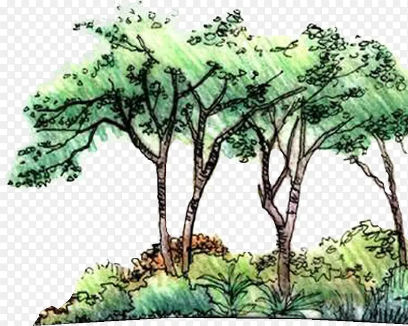 �ֻ�ˮ����ɫ����-������