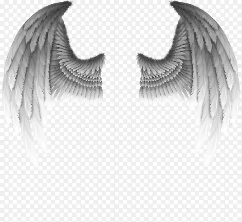 ���ͼ���ز�-������