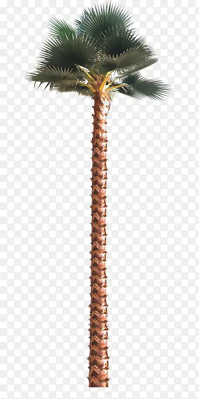 �����-������