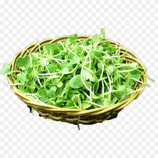 ����ũ��ʳƷ����-������