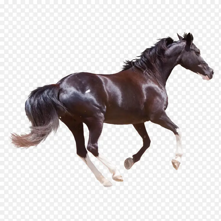 ���۵Ŀ���-������