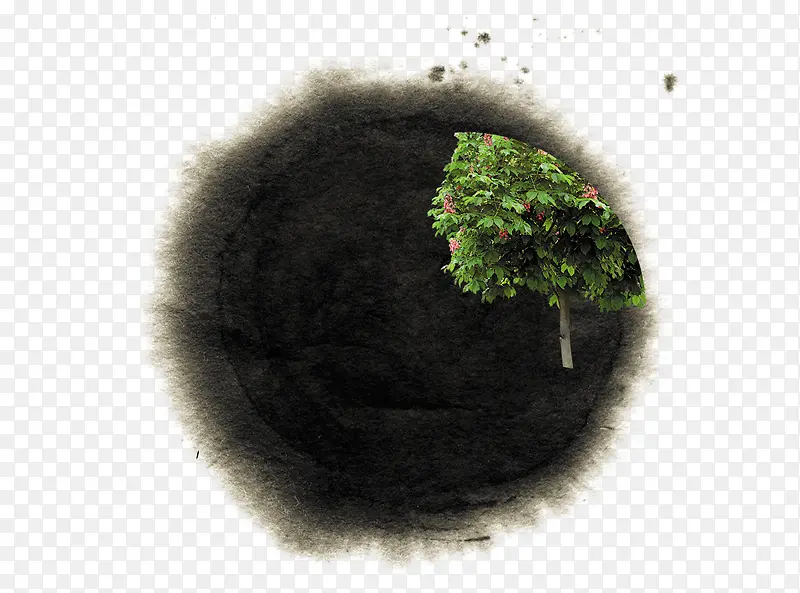 �й���ī��-������