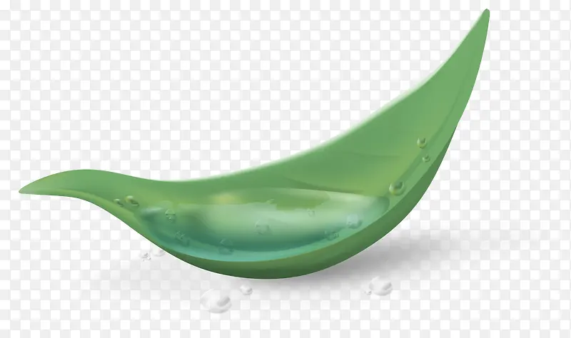 ��¶ˮ��Ҷ���ز�-������