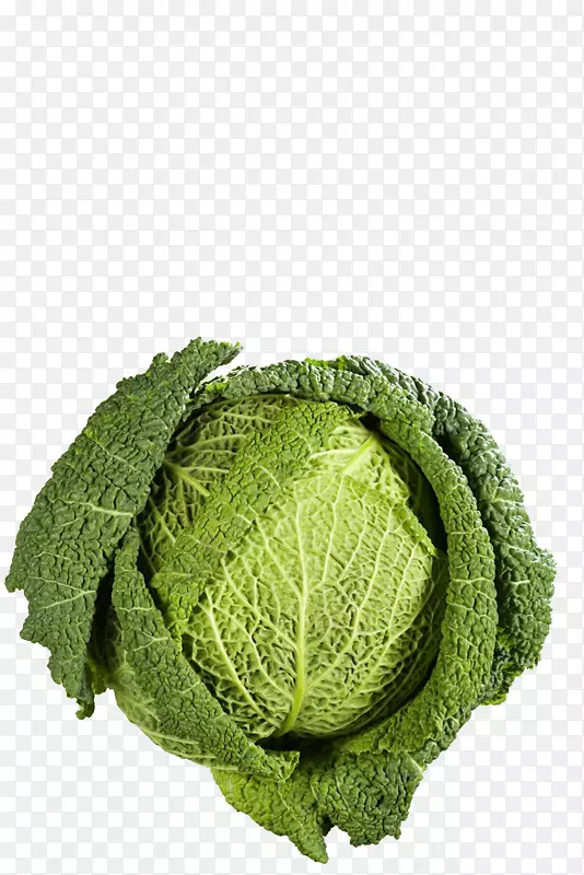 С�ײ����߲˻�Ҭ��-���Ĳ�-������