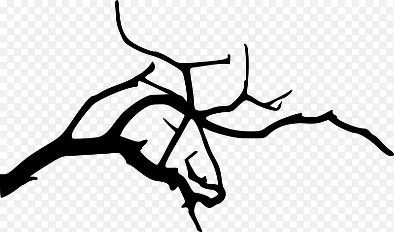 ��֦����-��֦-������