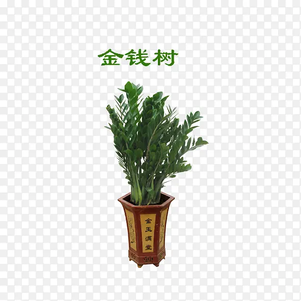 ��Ǯ��-������