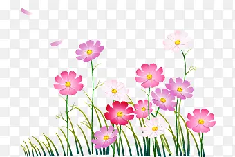 �컨�׻��̲��ز�-������