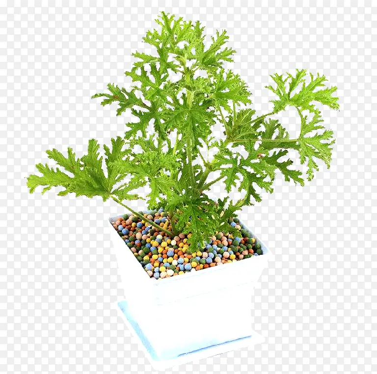 ���ò�����-������