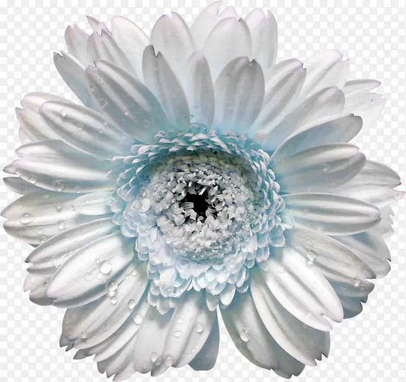 ��ɫʸ����-������